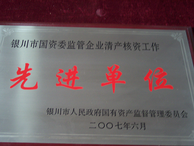 2007年6月银川市人民政府国有资产监督管理委员会先进企业